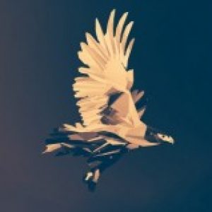 Profile photo of Joshua Pow!